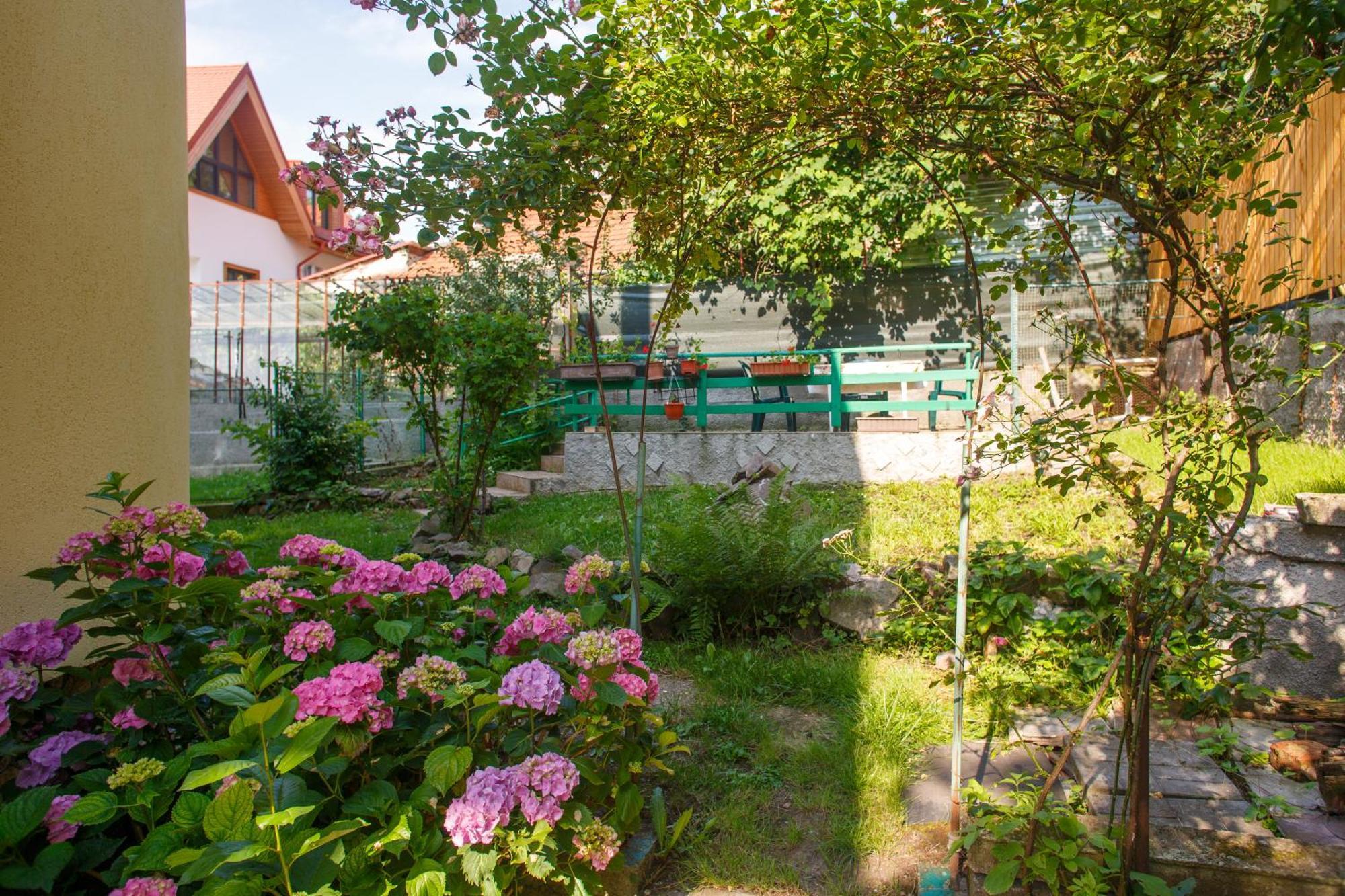 Barok Appart Braşov Buitenkant foto